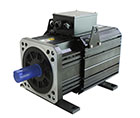 Hydraulic servo motor